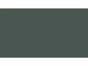 Flat Euro I Dark Green FS # 34092 — TRUE NORTH Precision Paints